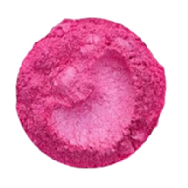 Pink Rose
