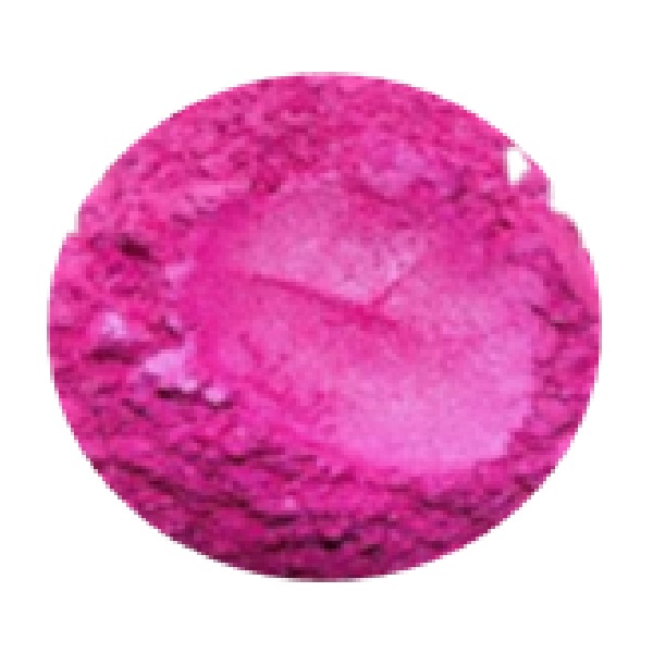 Pink Rose