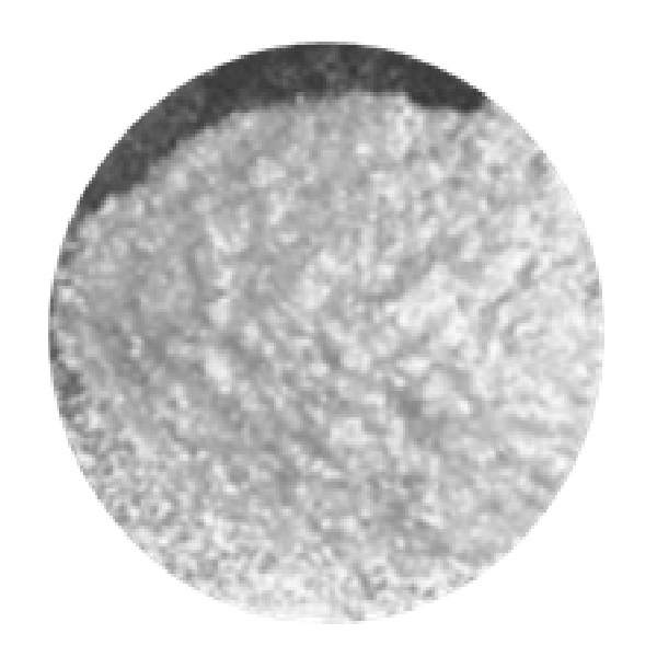 Silver White