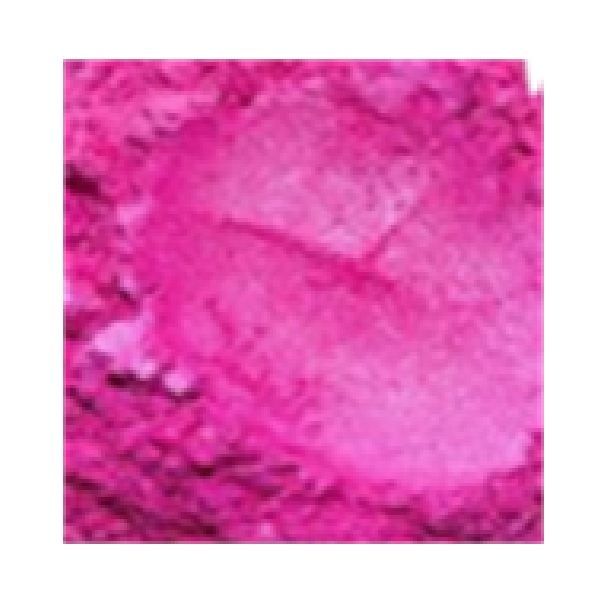 Pink Rose